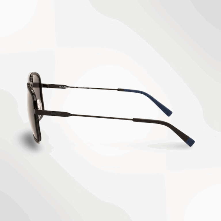 Salvatore Ferragamo SF203 001 thumbnail 2